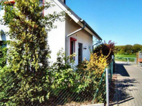 Seestern, Insel Poel
